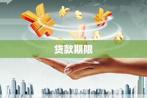延平贷款期限