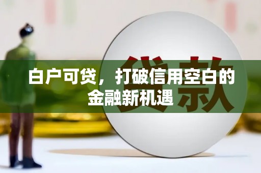 延平白户可贷，打破信用空白的金融新机遇