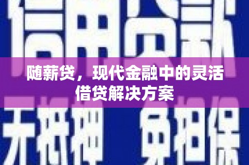 延平随薪贷，现代金融中的灵活借贷解决方案