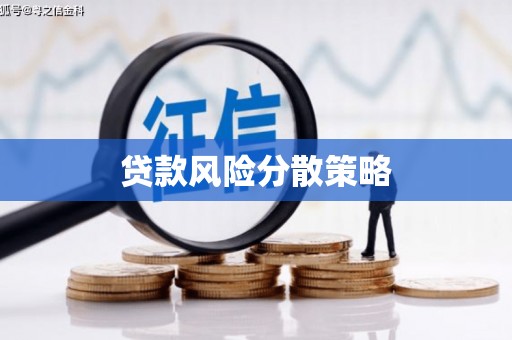 延平贷款风险分散策略