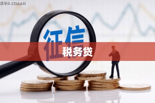 延平税务贷