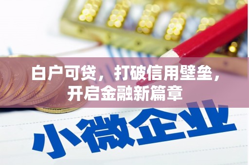 延平白户可贷，打破信用壁垒，开启金融新篇章