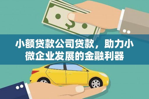 延平小额贷款公司贷款，助力小微企业发展的金融利器