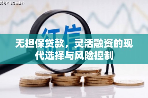 延平无担保贷款，灵活融资的现代选择与风险控制
