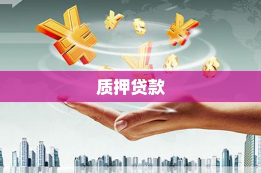 延平质押贷款