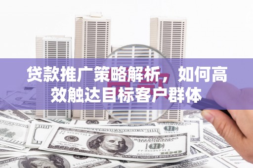 延平贷款推广策略解析，如何高效触达目标客户群体