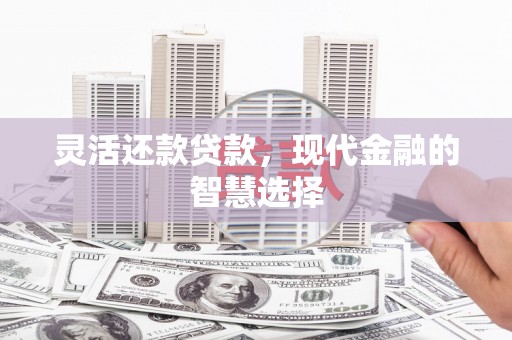 延平灵活还款贷款，现代金融的智慧选择