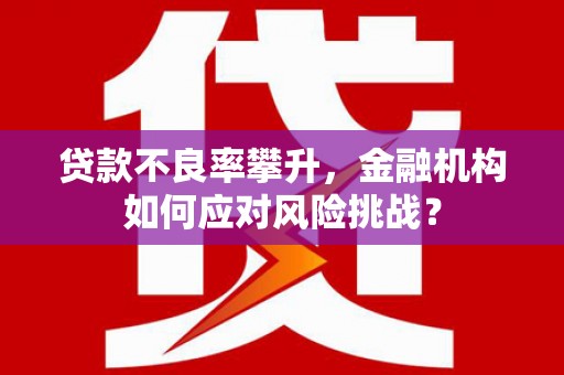 延平贷款不良率攀升，金融机构如何应对风险挑战？