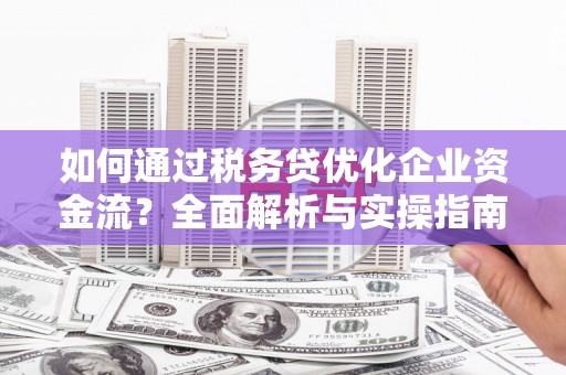延平如何通过税务贷优化企业资金流？全面解析与实操指南