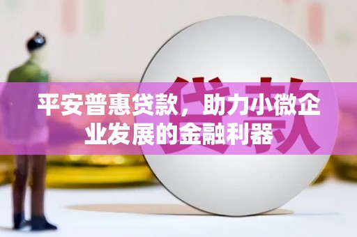 延平平安普惠贷款，助力小微企业发展的金融利器