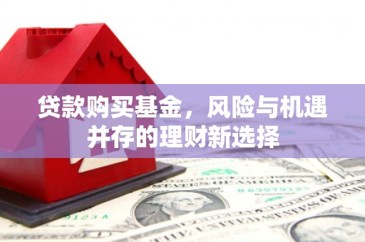 延平贷款购买基金，风险与机遇并存的理财新选择
