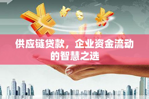 延平供应链贷款，企业资金流动的智慧之选