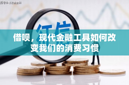 延平借呗，现代金融工具如何改变我们的消费习惯