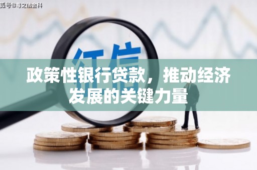 延平政策性银行贷款，推动经济发展的关键力量