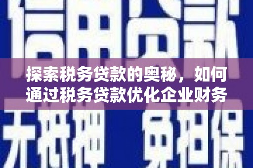 延平探索税务贷款的奥秘，如何通过税务贷款优化企业财务