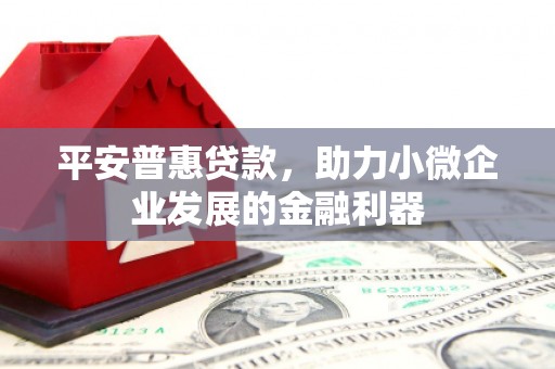 延平平安普惠贷款，助力小微企业发展的金融利器