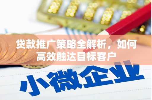 延平贷款推广策略全解析，如何高效触达目标客户