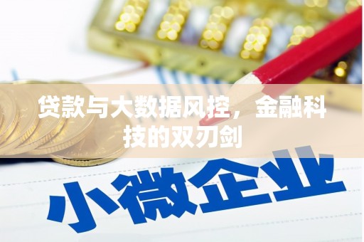 延平贷款与大数据风控，金融科技的双刃剑
