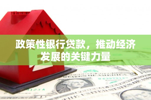 延平政策性银行贷款，推动经济发展的关键力量