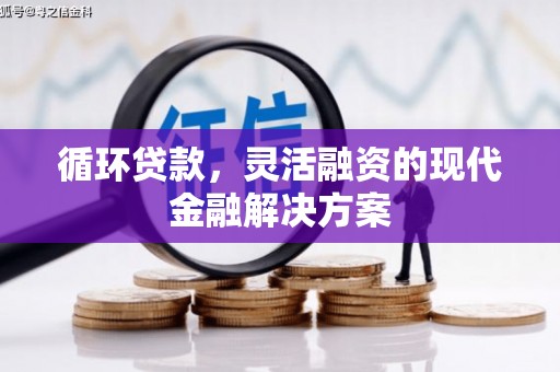 延平循环贷款，灵活融资的现代金融解决方案