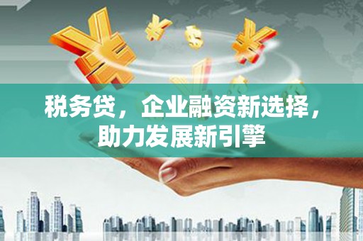 延平税务贷，企业融资新选择，助力发展新引擎