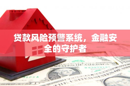 延平贷款风险预警系统，金融安全的守护者