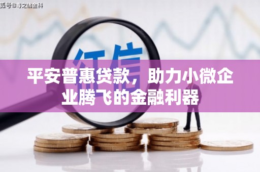 延平平安普惠贷款，助力小微企业腾飞的金融利器