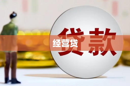 延平经营贷