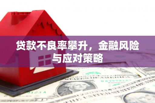 延平贷款不良率攀升，金融风险与应对策略