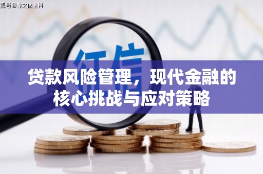 延平贷款风险管理，现代金融的核心挑战与应对策略