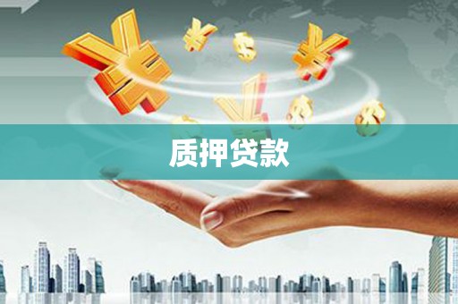 延平质押贷款
