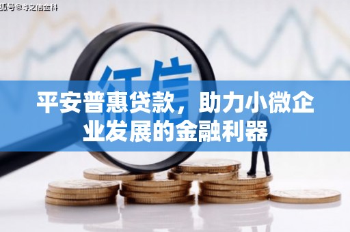 延平平安普惠贷款，助力小微企业发展的金融利器