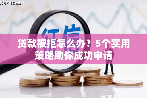 延平贷款被拒怎么办？5个实用策略助你成功申请