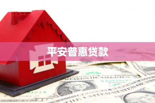 延平平安普惠贷款