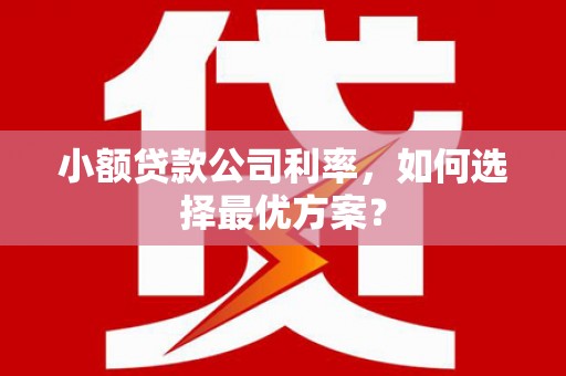 延平小额贷款公司利率，如何选择最优方案？