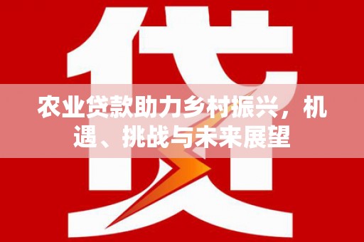 延平农业贷款助力乡村振兴，机遇、挑战与未来展望