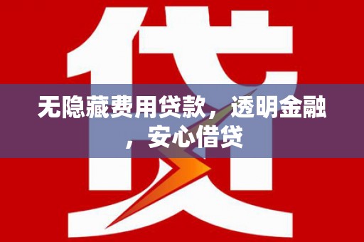 延平无隐藏费用贷款，透明金融，安心借贷