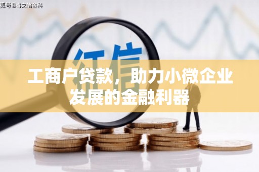 延平工商户贷款，助力小微企业发展的金融利器