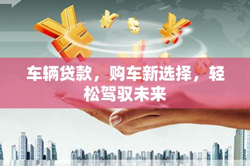 延平车辆贷款，购车新选择，轻松驾驭未来