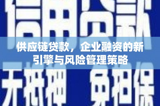 延平供应链贷款，企业融资的新引擎与风险管理策略