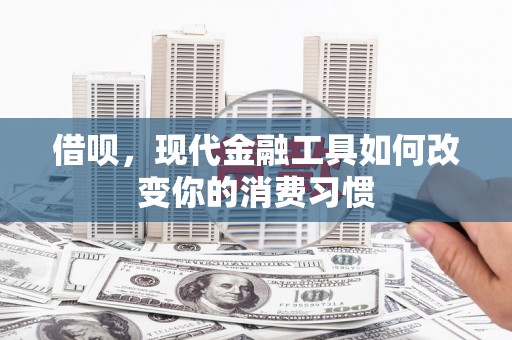 延平借呗，现代金融工具如何改变你的消费习惯