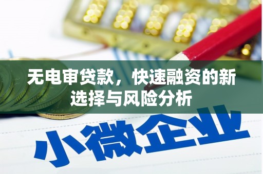 延平无电审贷款，快速融资的新选择与风险分析