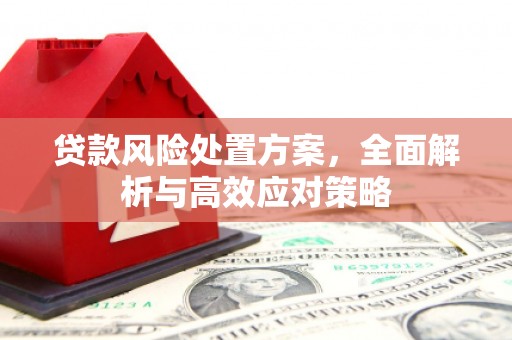 延平贷款风险处置方案，全面解析与高效应对策略