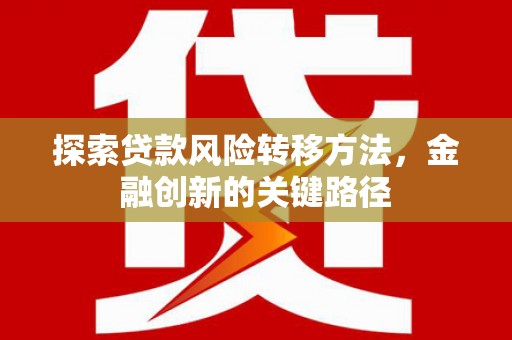 延平探索贷款风险转移方法，金融创新的关键路径