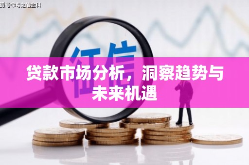 延平贷款市场分析，洞察趋势与未来机遇