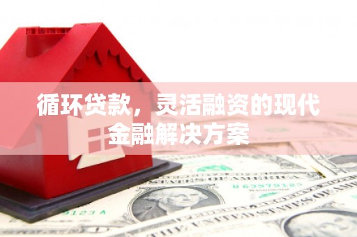 延平循环贷款，灵活融资的现代金融解决方案
