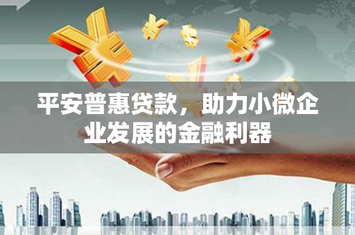 延平平安普惠贷款，助力小微企业发展的金融利器