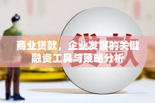 延平商业贷款，企业发展的关键融资工具与策略分析