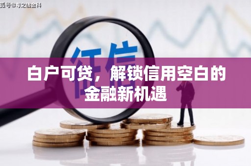 延平白户可贷，解锁信用空白的金融新机遇