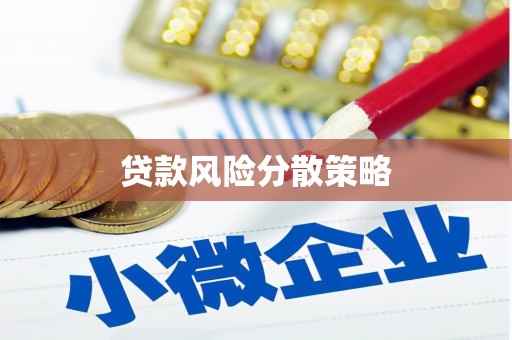 延平贷款风险分散策略